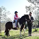 Apartma Marisol
