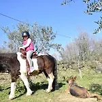 شقة Apartma Marisol إيزولا