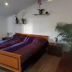 Apartma Marisol شقة