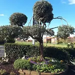 Apartma Marisol *
