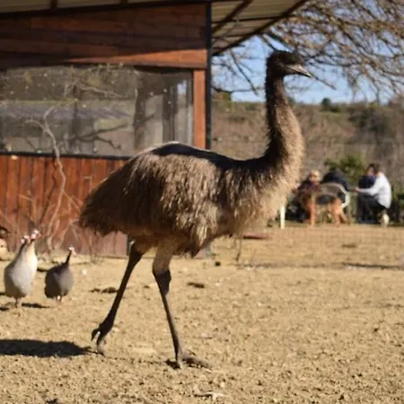 아파트 Apartma Marisol 이졸라