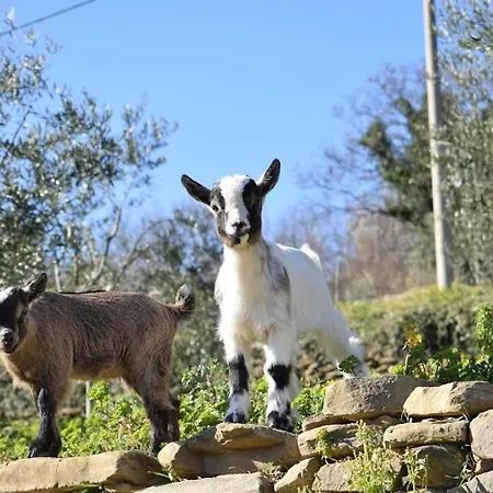 아파트 Apartma Marisol