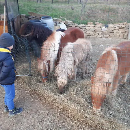 아파트 Apartma Marisol *