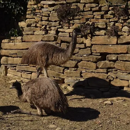 Apartma Marisol * 이졸라