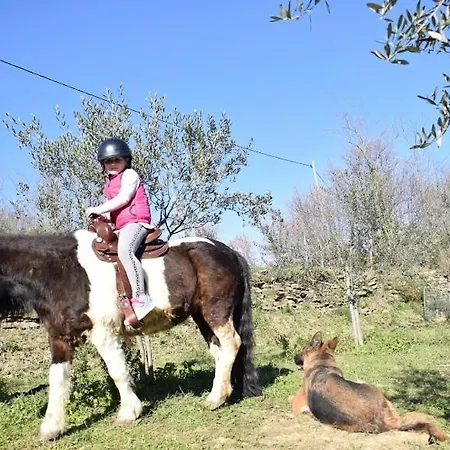 아파트 Apartma Marisol 이졸라