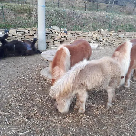 아파트 Apartma Marisol