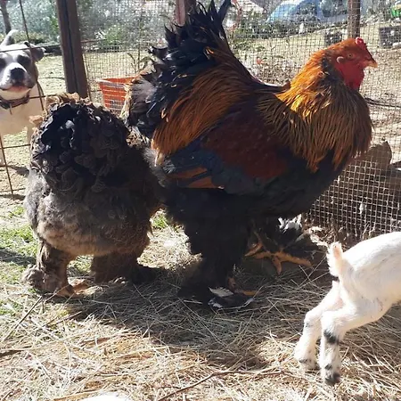 아파트 Apartma Marisol