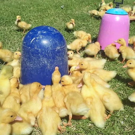 아파트 Apartma Marisol *