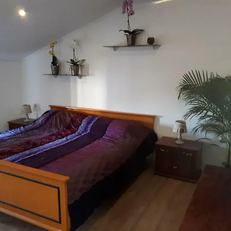Apartma Marisol 아파트