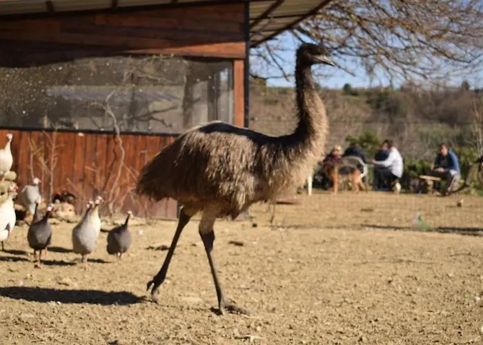 Daire Apartma Marisol Izola