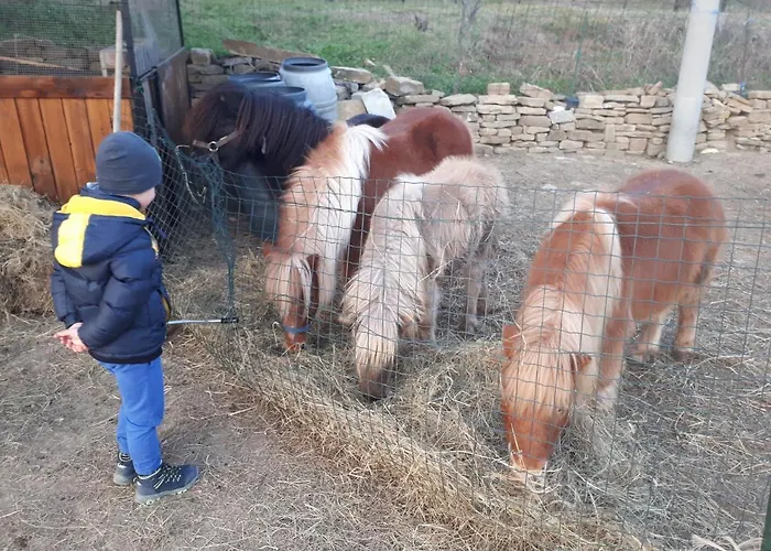 Daire Apartma Marisol *