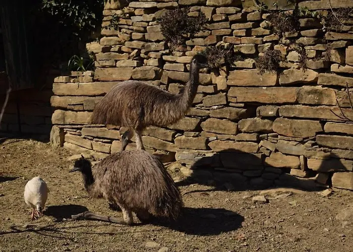 Apartma Marisol * Izola