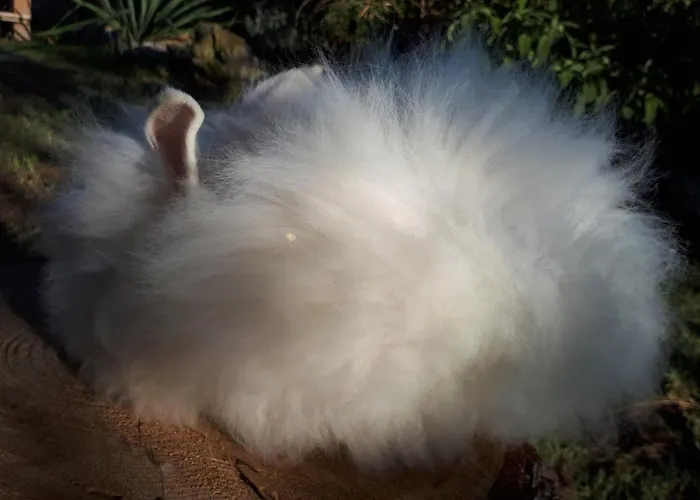 Daire Apartma Marisol Izola