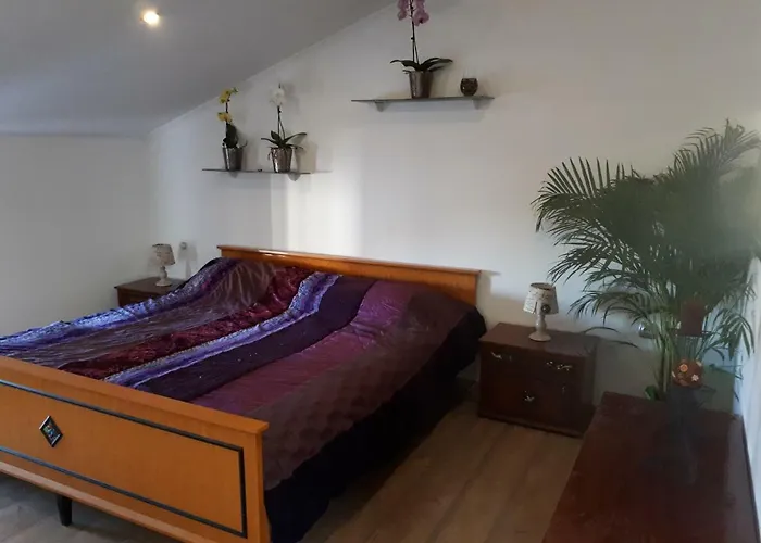 Apartma Marisol Daire